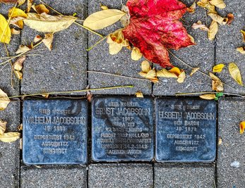 Stolpersteine in Mittweida von Künstler Gunter Demnig zur Erinnerung an Familie Jacobsohn.