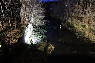 Die Feuerwehrleute begaben sich mit einer Decke ins Wasser und fingen das verletzte Tier ein.