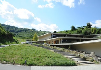 Das neue Weingut von Fritz Keller im Kaiserstuhl, es ist den Weinbergsterrassen nachempfunden. 