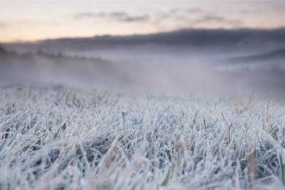 In der Nähe von Bärenstein präsentierten sich die Wiesen am Sonnabendmorgen voller Raureif.