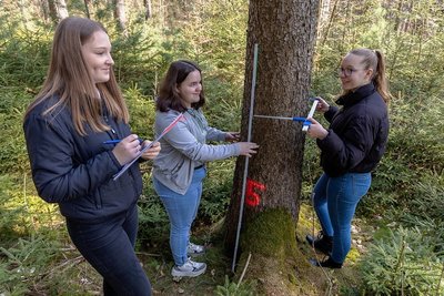 Alexandra Fertich, Pauline Nix und Alice Kleinwächter lernen an der Weinhold-Oberschule Reichenbach. Im Walderlebnisgarten Eich haben die Neuntklässler jüngst den Projekttag "Klimawandel und Nachhaltigkeit" absolviert. Dabei wurden auch Bäume vermessen.