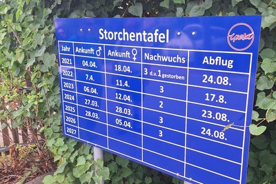 Die blaue Infotafel über die Leukersdorfer Störche seit 2021. Störche gibt es im Ort aber schon seit 2014.