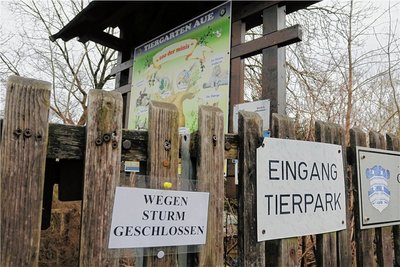 Wegen Sturm musste der Tierpark in Aue schon einmal in diesem Jahr ganz geschlossen bleiben. Jetzt zwingt ein hoher Krankenstand unter den Tierpflegern dazu, eine Stunde früher zu schließen. 