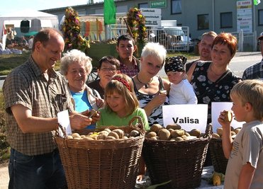 Knollenfest