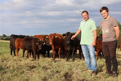 Ralf Pammler und Ricardo Lange mit ihrer Angus-Herde. 