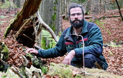 Falk Unger an der sogenannten Cotta-Tanne im Revier Carlsfeld. Mit über 40 Metern Höhe war sie in den 1980er-Jahren einer der höchsten Bäume in Sachsen. 