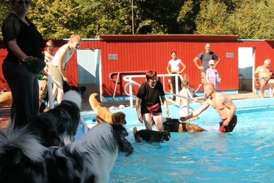 Menschen und Hunde gingen am Sonntag bei schönstem Sommerwetter gemeinsam baden.