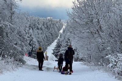 Familien waren mit Kindern und Schlitten unterwegs. Skilangläufer zog es in die Loipen.
