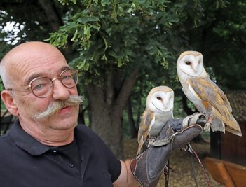 Die zwei jüngsten Bewohner des Freiberger Tierparks, zwei Schleiereulen, werden mit Peter Heinrich einen Auftritt haben. 