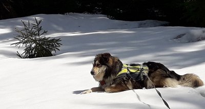 Der 972 Meter hohe Schneehübel im Vogtland trägt seinen Namen nicht zu unrecht. Dass der Gipfel aber auch noch Anfang Mai eine ordentliche Schneedecke trug, ist doch ungewöhnlich. 
