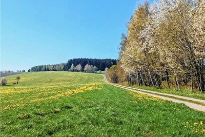 Der Schlettauer Weg nahe Hermannsdorf. Auf Flächen rechts und links davon könnten die Windräder errichtet werden.
