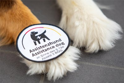 Seit März 2023 darf der Assistenzhund Hope Thierbach ganz offiziell überall hin begleiten.