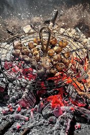 Küchenchef Andreas Winter zaubert aus dem feinen Schneckenfleisch eine Vorspeise. Rustikaler ist die Grillvariante, bei der das Fleisch aus dem Haus geholt werden muss. Die leeren Schneckenhäuser sind eine schöne Deko - wie rechts für den Olivenbaum. 