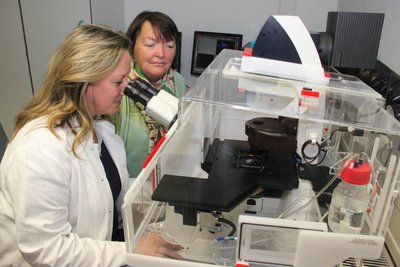 Sylvia Renz (l.) und Tamara Grummt untersuchen in Bad Elster die Auswirkungen von Mikroplastik am Lebendzellenmikroskop.