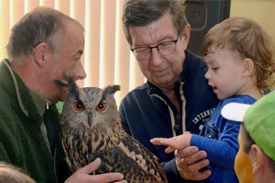 Falkner Mike Spitzner aus Schnarrtanne hatte einen Uhu und eine Eule mit nach Grünbach gebracht, die Vögel fanden viel Anklang.