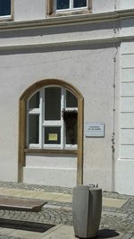 Ein Bienenvolk ist auf das Schneeberger Rathaus abgeflogen.