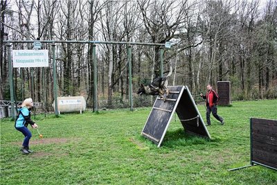 Die 13 jährige Lilli Kuhle trainiert hier mit ihrem Deutschen Schäferhund Takko. 