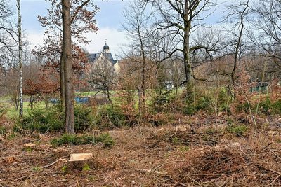 Das Waldstück in der unmittelbaren Nähe des Wasserschloß Klaffenbach ist nach dem Holzeinschlag licht geworden.