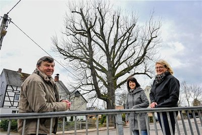 Matthias Gluba, Annegret Adamczak und Ingela Dugas (von links) vom Heimatverein stehen vor der Friedenseiche in Auerswalde (8), wo eine weitere historische Tafel angebracht wird. 
