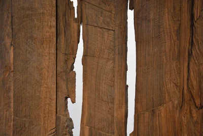 „Mooreichenwand 2” stammt aus dem Atelier von Hans Brockhage und war beispielsweise 2015 in der Neuen Sächsischen Galerie in Chemnitz zu sehen.