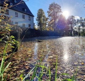 Der Schlamm des Dorfteichs, der auch durch das viele Laub im Herbst entsteht, soll kostengünstiger entsorgt werden, als geplant. 