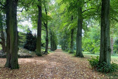 Schützenswert: der Schlosspark in Wechselburg.