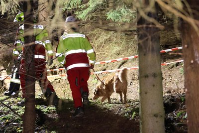 19.30 Uhr wurden am Donnerstagabend erstmals Rettungshunde bei der Suche nach dem vermissten Erzgebirger eingesetzt. Insgesamt sind es 17 Hunde von neun Rettungshundestaffeln aus ganz Sachsen. Das abgesperrte Gebiet bei Frohnau wurde von der Feuerwehr ausgeleuchtet.