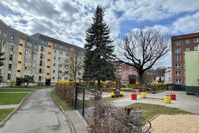 Blick auf die DDR-Plattenbauten neben der Kita „Mischka“: Endlich herrscht hier Ordnung.