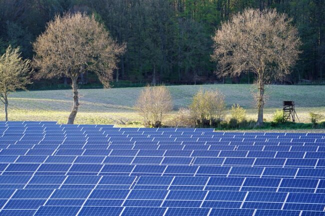 50-Megawatt-Kraftwerk: Fotovoltaikanlage soll auf Feld in Gornau entstehen - 