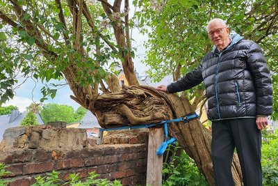 Will seinen weißen Flieder unbedingt erhalten: Christian Schöpf in seinem Garten in der Lößnitzer Altstadt. 