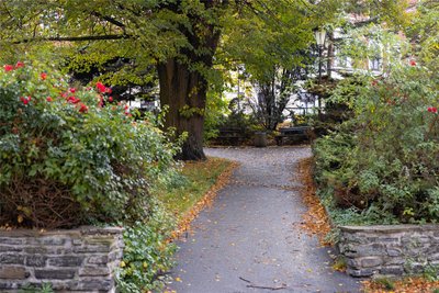 Nur wenige Meter neben den Bushaltestellen führen Treppen hoch in den Stadtpark, wo eine Gruppe Jugendlicher erneut einen 18-Jährigen attackierten.