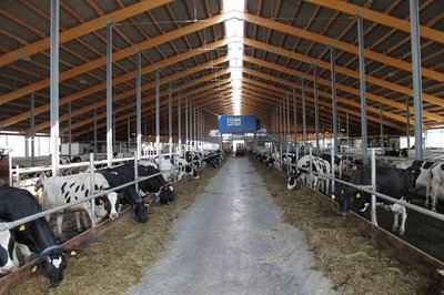 Die hochmoderne Anlage für bis zu 450 Tiere hat die Gemüter in Auerbach erhitzt. Zuletzt ist es ruhig um die Sache geworden.
