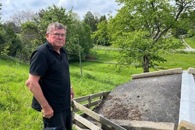 Eines der Schafe von Hans-Hartwig Clauß in Mildenau ist gerissen worden. Nun sorgt er sich um seine und andere Tiere im Ort. Foto: Annett Honscha
