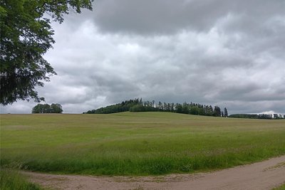 Noch ist die Südflanke des Hufenbergs bei Hallbach unbebaut. Auf 15,3 Hektar soll dort ein Solarpark entstehen.