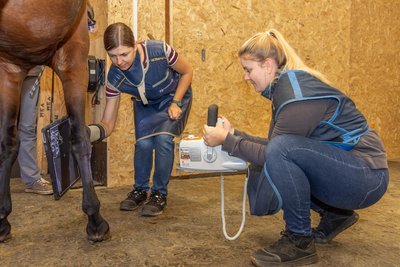 Auch das Röntgen der Tiere gehört zur Arbeit der Tierärztinnen Sabine Jesche und Julia Hübner.