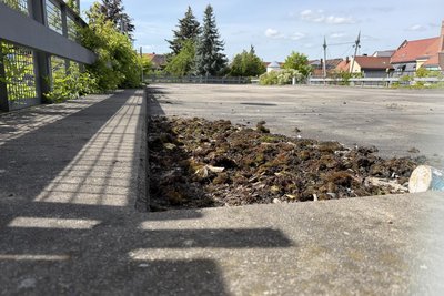Jeweils 35 Plätze auf Ober- und Unterdeck stehen seit Jahren nicht mehr zur Verfügung.