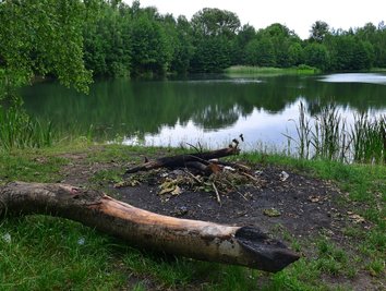 An der Torfgrube in Altmittweida verschandeln mehrere Feuerstellen wie diese den Uferbereich. 