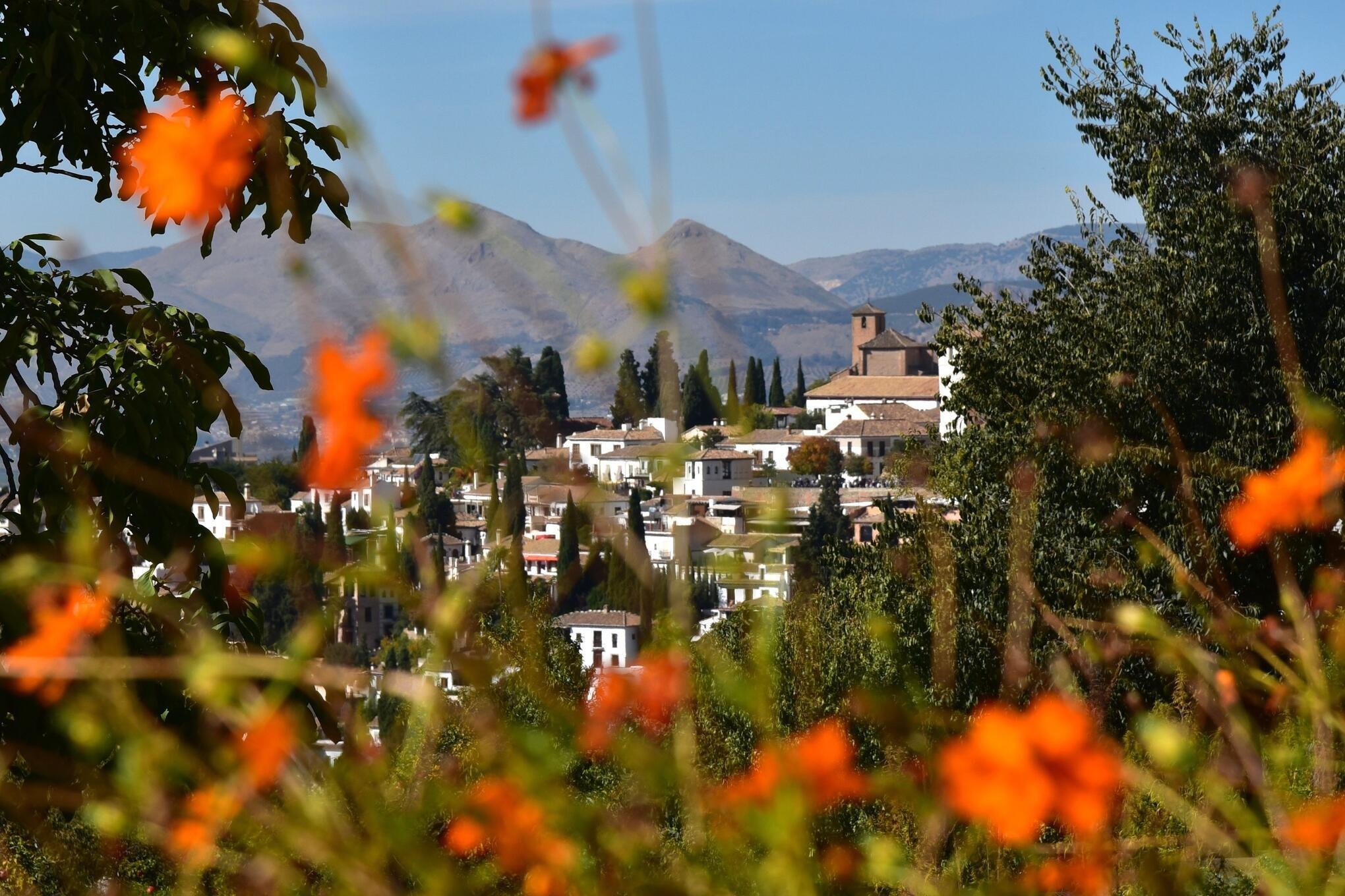 Flamenco-Flamingos-Filmsets-sieben-lohnenswerte-Ziele-in-Andalusien