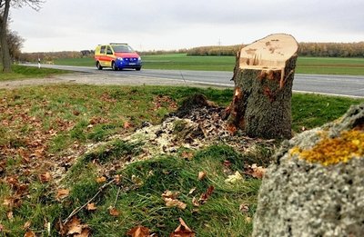 Gegen diesen Baum an der Bundesstraße 173 bei Oberschöna prallte am Dienstagmittag ein VW. Seine beiden Insassen, eine 26-jährige Frau und ihr einjähriges Kind, erlitten bei dem Unfall schwere Verletzungen. 