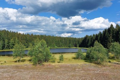 Der Schlemmteich in Gottesberg: Kann er bei Bränden als Löschwasserentnahmestelle dienen?