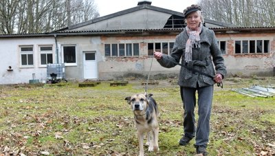 Ines Kramer, die Vorsitzende des Tierschutzvereins Freiberg, geht mit Hündin Ramona auf dem weitläufigen Gelände des Tierheims spazieren. Im Hintergrund der Außenauslauf für die Katzen, der ein neues Dach benötigt.