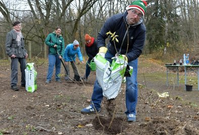 Baumpate Silvio Herrmann (vorn) pflanzt einen Holunderbaum, hinten Vereinschefin Ines Kramer, Baumschul-Geschäftsführerin Katharina Friebe sowie Elke Koch und Jenny Fritzsche vom Bündnis "Freiberg pflanzt" (v. l.).