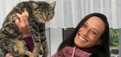 Im Freiberger Tierheim "Albert Schweitzer" lebt diese Katze, die hier von Mitarbeiterin Nancy Silbermann gehalten wird. Die Katze leidet unter Mittelohrentzündung und muss medizinisch behandelt werden.