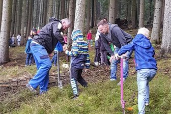 500 neue Bäume für Stadtwald in Aue-Bad Schlema - Mit Hilfe von Grundschülern sind in Oberschlema am Donnerstag zahlreiche Weißtannen gepflanzt worden.