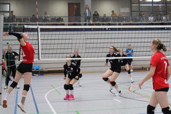 5000er-Marke wieder geknackt: Kreis-Kinder- und Jugendspiele mit erfolgreichem Abschluss - Die Freiberger Volleyballerinnen im sportlichen Wettstreit in der Heubner-Halle.