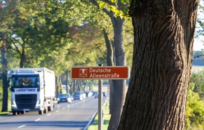 Ist die Deutsche Alleenstraße bald um 20 Bäume ärmer? Die Pläne sehen Fällungen zwischen Oberlosa und der A 72 vor. 