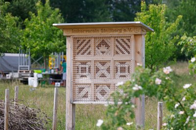 Eine große Nisthilfe für Wildbienen am Rand der Streuobstwiese.