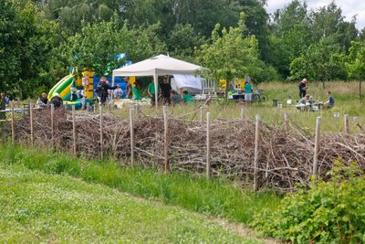 An der Streuobstwiese haben die Imker eine Benjeshecke und eine Blühfläche angelegt.