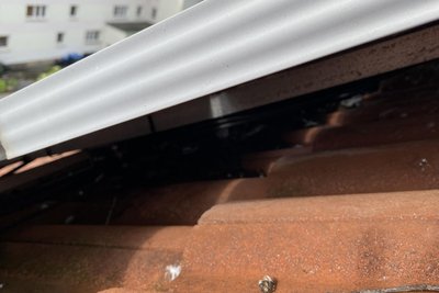 Unter den Solarpaneelen haben die Tauben ihre Nester - und es sammelt sich Dreck an, der bei Regen die Dachrinnen verstopft und auf Fenster und Fensterstöcke der Mieter prasselt.