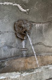 Hätten Sie es erkannt? Es ist ein Löwe, der in Reichenbach erfrischendes und trinkbares Nass aus seinem Maul speit. 2002 ließ die Stadt die Stützmauer mit Treppe am Graben sanieren - es ist Reichenbachs einziger Trinkwasserbrunnen. 
